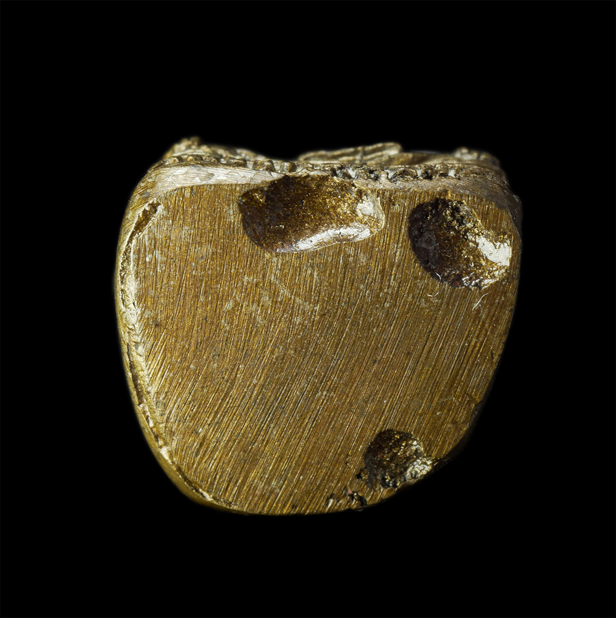 2569-03-02 (111)p.jpg - รูปหล่อ หลวงพ่อสุรินทร์ จนฺทโชโต(พระครูนภเขตคณารักษ์) วัดตากฟ้า อ.ตากฟ้า จ.นครสวรรค์ รูปหล่อเนื้อโลหะผสม พระเก่าสวย น่าเก็บสะสมบูชา | https://kamulet.in.th